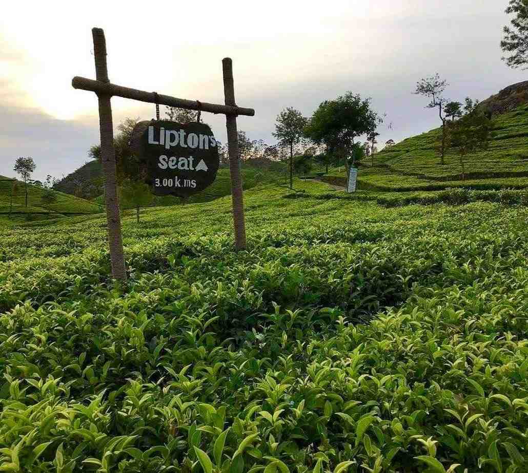 Lipton's Seat near Ella